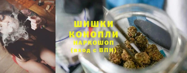 индика Балабаново