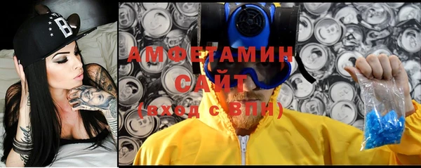 индика Балабаново