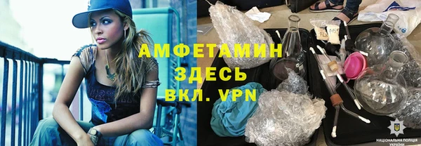 индика Балабаново