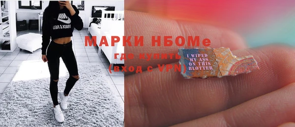 индика Балабаново